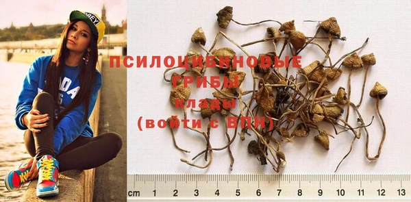 эйфоретик Абаза