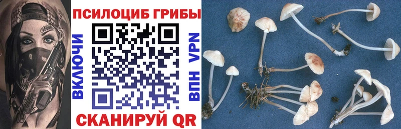 hydra как войти  Юрюзань  Галлюциногенные грибы ЛСД  цена  