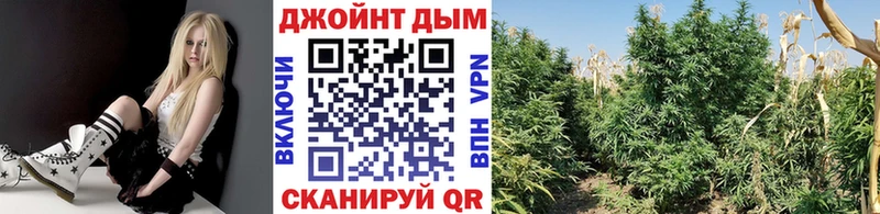 наркотики  Юрюзань  Бошки марихуана Amnesia 